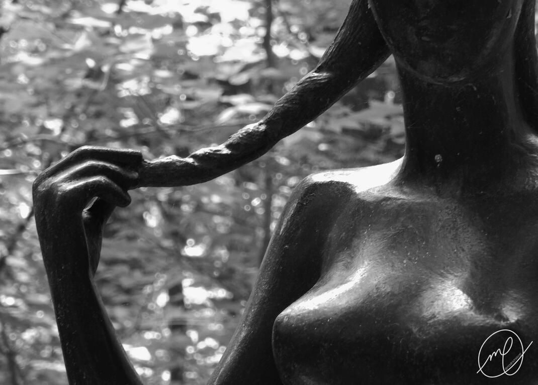 Plaited, 2017. Nikon Coolpix L820.