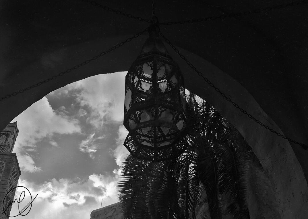 Crescent Lace, 2018. iPhone X.