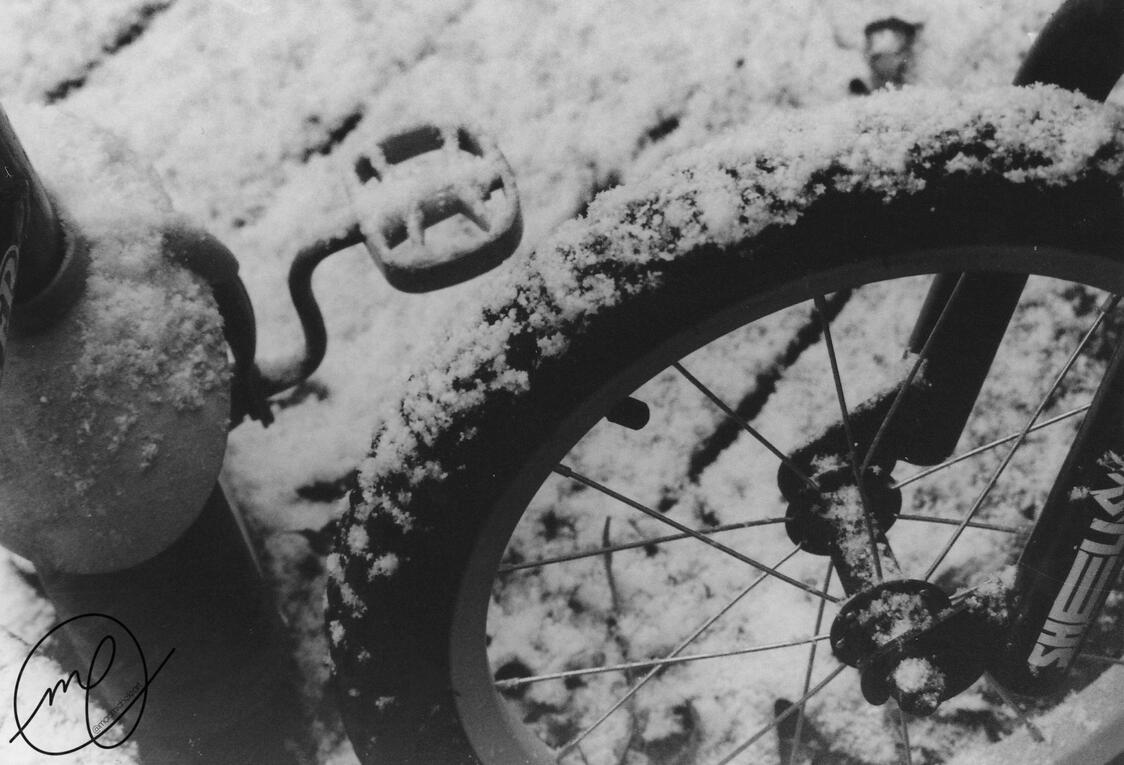 Snowfall, 2016. Minolta Maxxum QTsi, 35mm.