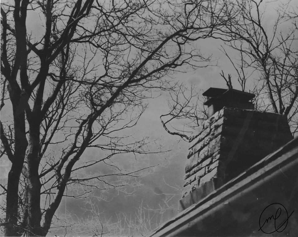 And the Wild, 2016. Minolta Maxxum QTsi, 35mm. (Solarized)