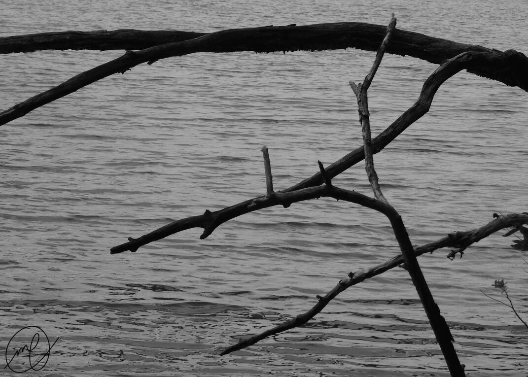 Lagoon, 2019. Nikon Coolpix L820.