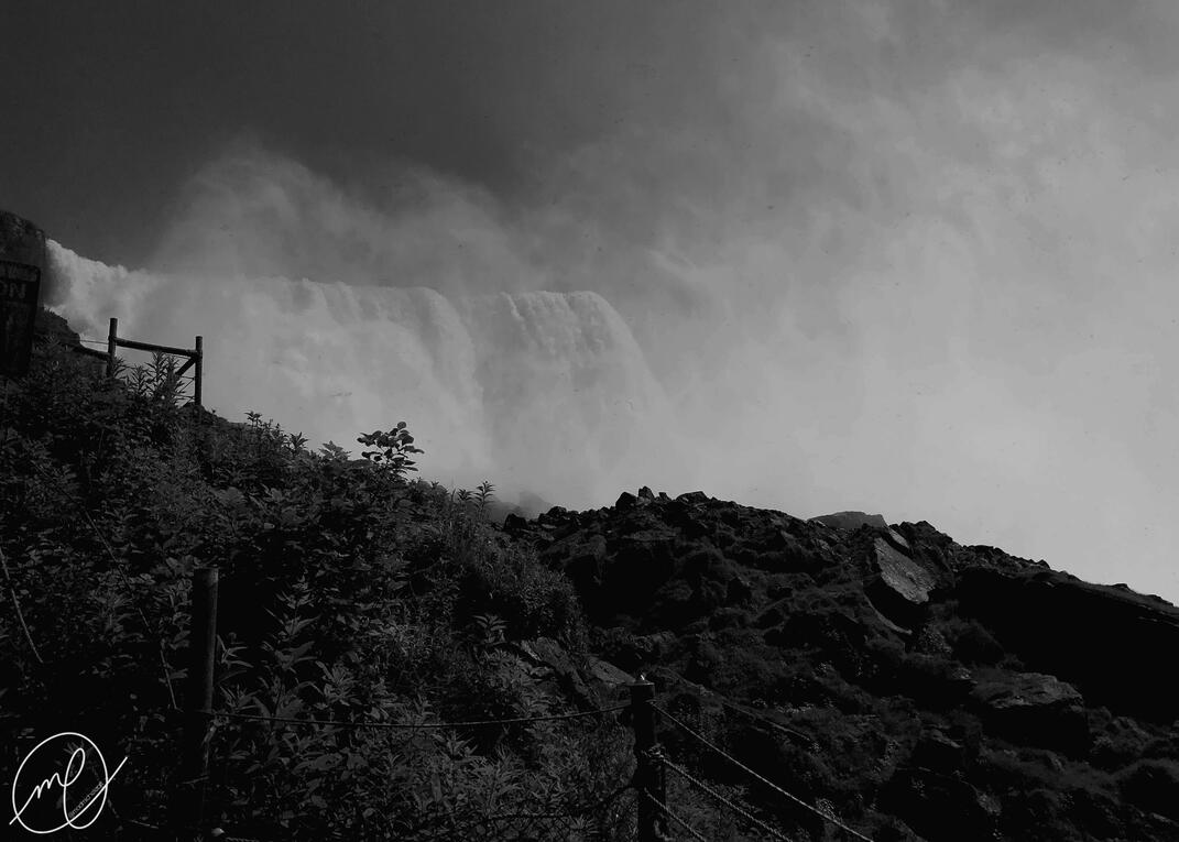 Fern, 2019. Niagara Falls. iPhone X.